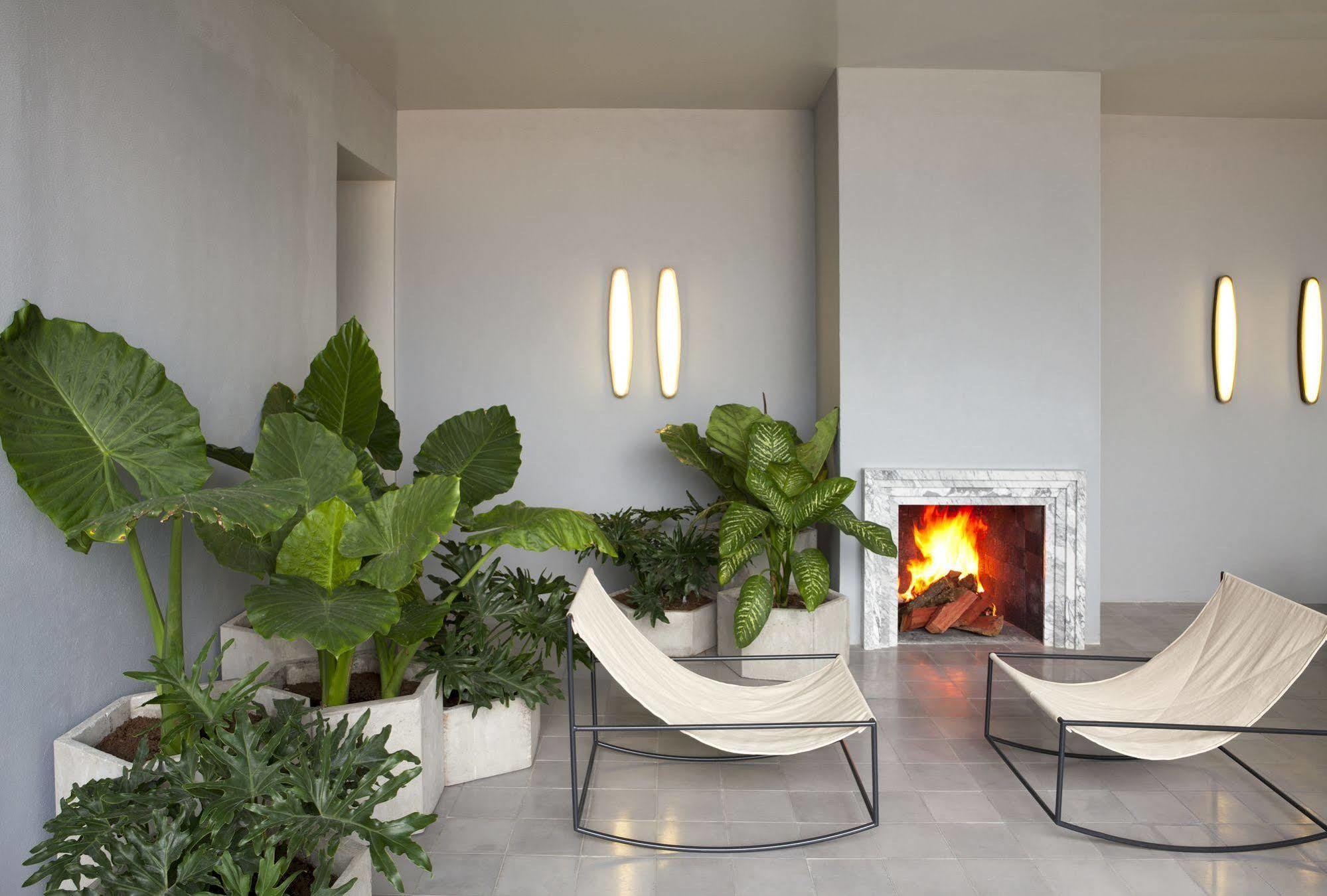 Casa Habita, A Member Of Design Hotels Guadalajara Exterior photo